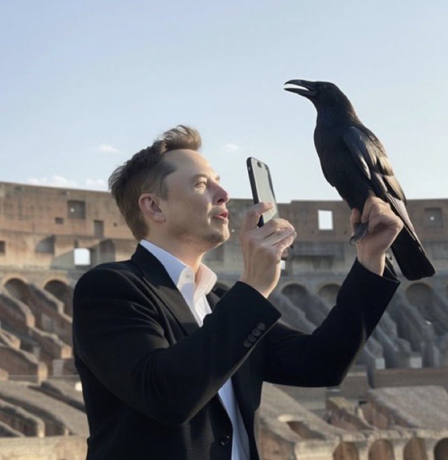 イーロンとカラスとコロッセオ